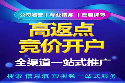 创新驱动：SEM竞价优化的多维度案例分析